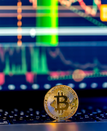 Bitcoin Bonanza Ticaret Bilgileri